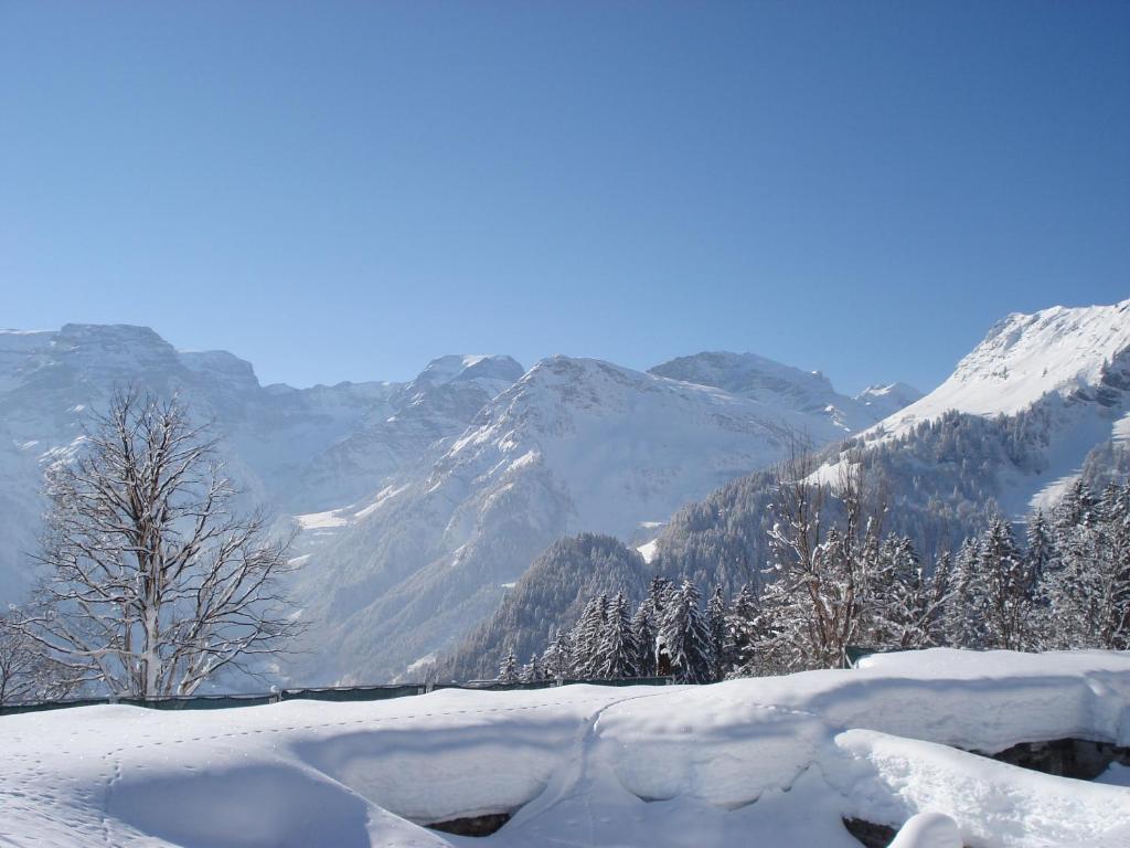 Adrenalin Backpackers Hostel Braunwald Exterior foto