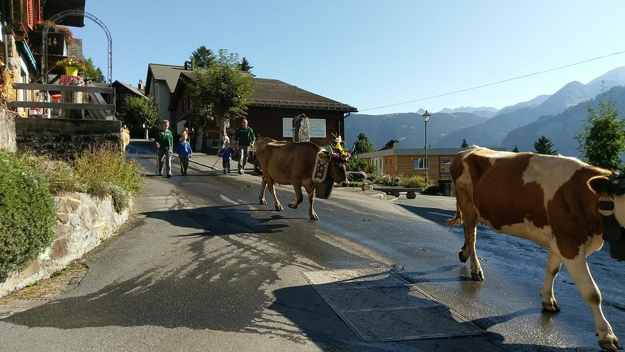 Adrenalin Backpackers Hostel Braunwald Exterior foto
