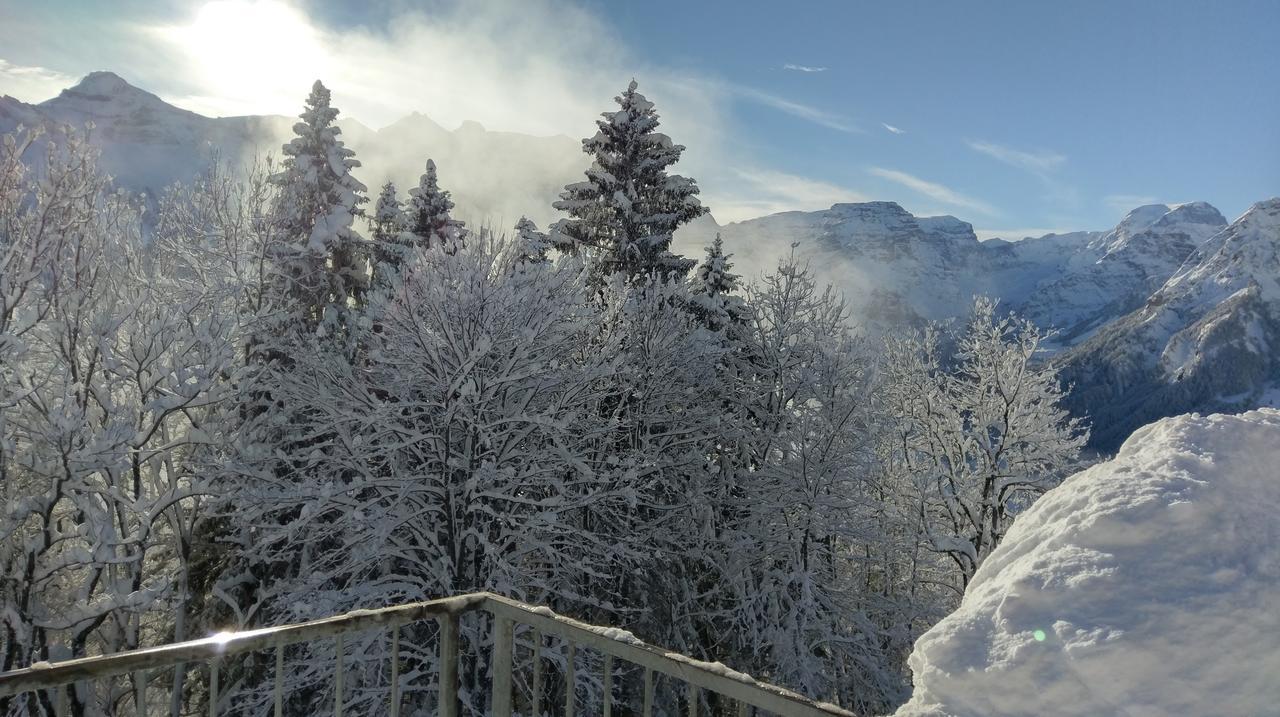 Adrenalin Backpackers Hostel Braunwald Exterior foto